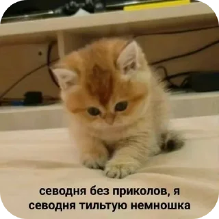 Sticker Больше стиков тут: @stikery4 - 7