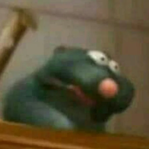 animal indoor monkey