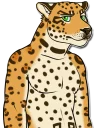 Sticker Tuaolo Jaguar - 7