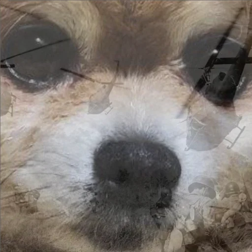 Sticker tuchaTheSpitz - 1