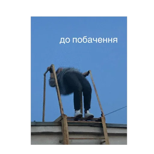 Sticker тюленьчики - 10