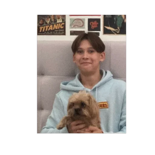 Sticker тюленьчики - 6