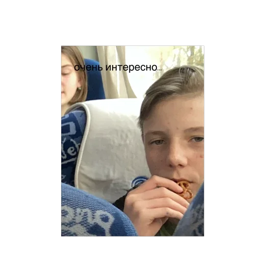 Sticker тюленьчики - 5