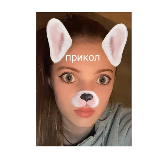 Sticker тюленьчики - 2