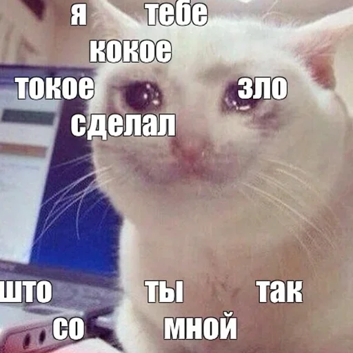 Sticker отТумарес by @fStikBot - 0