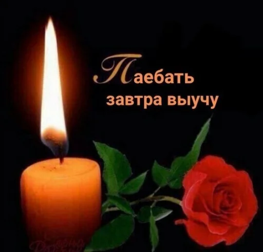 свеча воск роза