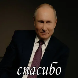 Стикер политика ебаная - 10