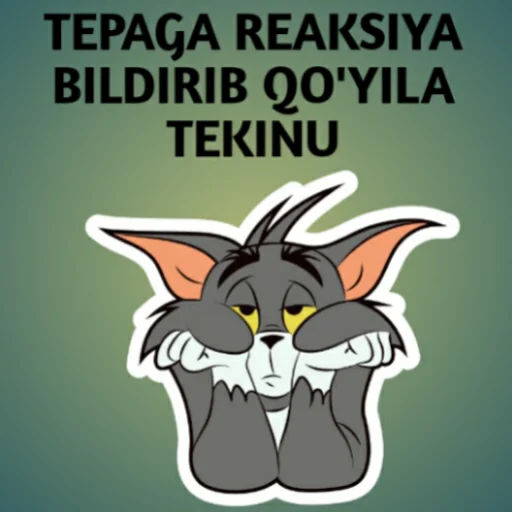 @Turtkulmp3 👈qõshiling - 