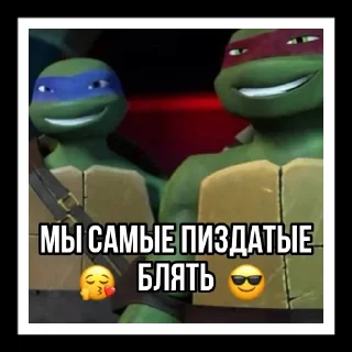 Sticker Turtles2012 - 8