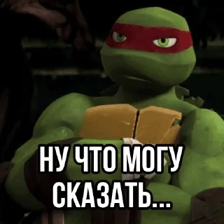 Sticker Turtles2012 - 7