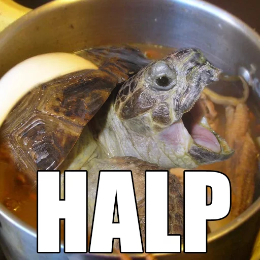 Черепаший суп - СМС