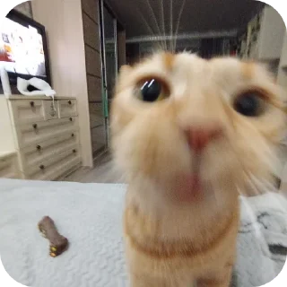 Sticker тулканчик - 6