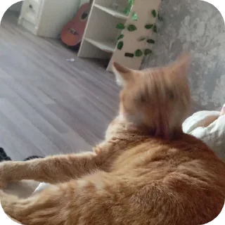 Sticker тулканчик - 5