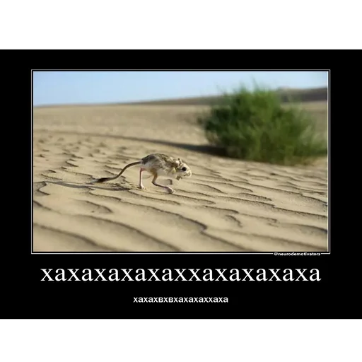 Sticker tushkancho - 1