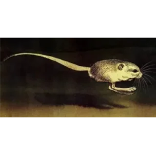 Стикер отряд прыгунчики @szdxfcgvhbjnkmlebzz - 7