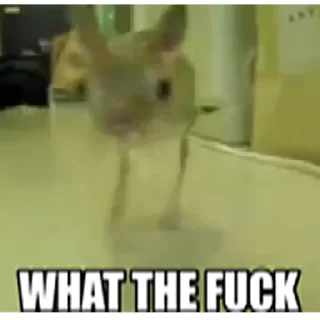 Стикер отряд прыгунчики @szdxfcgvhbjnkmlebzz - 9