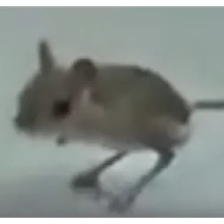 Стикер отряд прыгунчики @szdxfcgvhbjnkmlebzz - 6