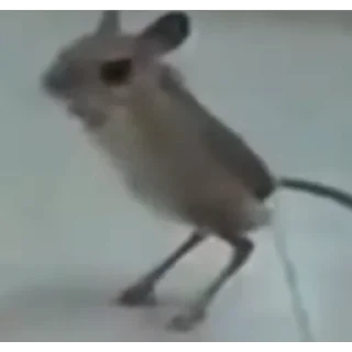 Стикер отряд прыгунчики @szdxfcgvhbjnkmlebzz - 2