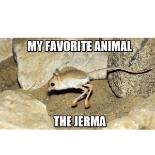 Стикер отряд прыгунчики @szdxfcgvhbjnkmlebzz - 3