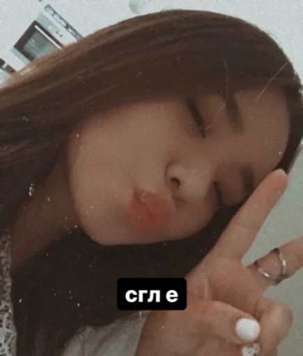 Sticker туся шаконтай нарго - 2