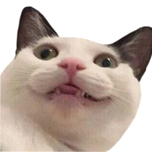 Больше стиков тут: @stikery4 - 