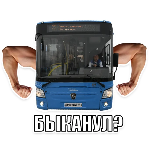 Sticker tvermems - 1