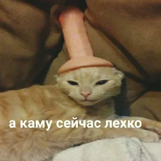 Стикер MyMood - 0