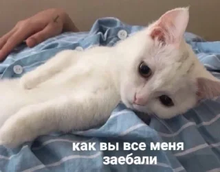 Стикер MyMood - 6