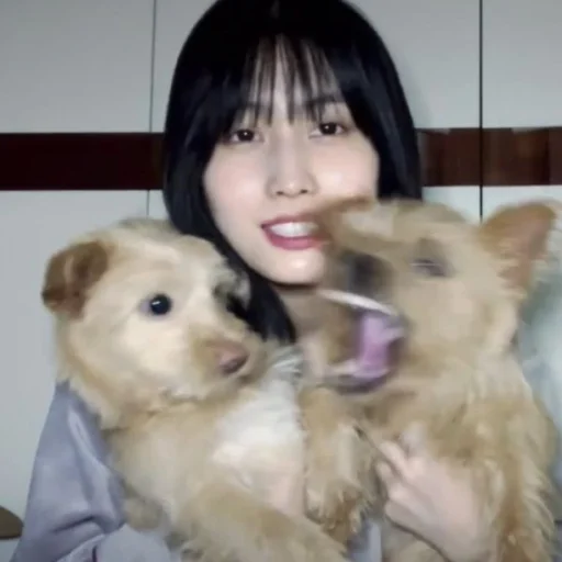 Sticker twice_sofiti - 1