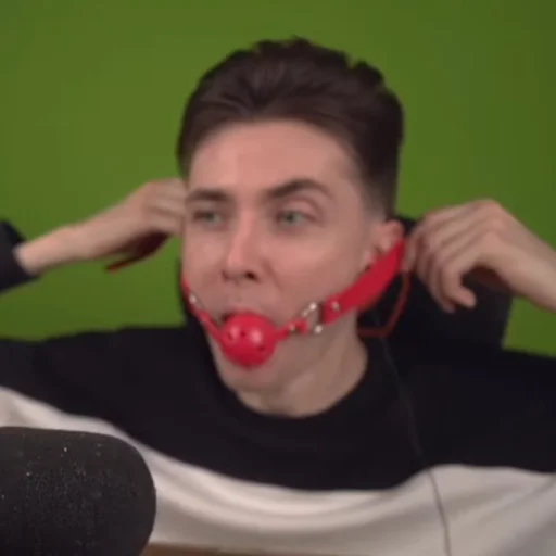 Человек человеческое лицо комнатный