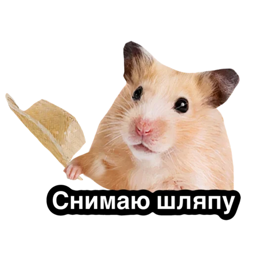 Sticker twithoma - 1