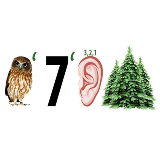 bird owl christmas tree