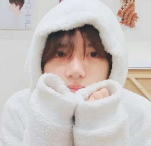 Человек человеческое лицо комнатный