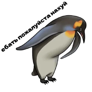 Sticker Must-have sticker pack - 4