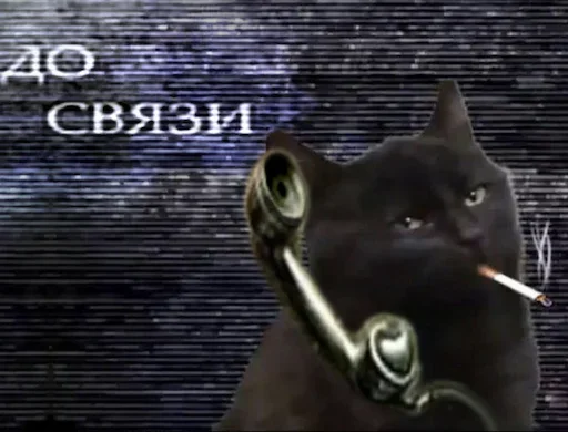 токсикоман. - 