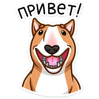 Sticker Тай • @TgSticker - 4