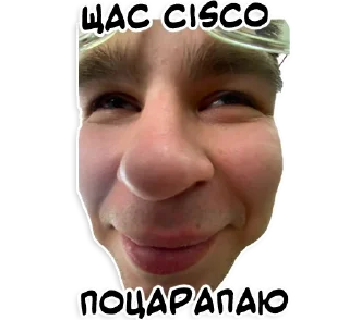 Стикер test19_proda - 7