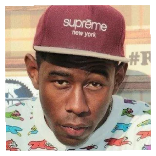 Sticker tyler 1 @sshuulaa - 11