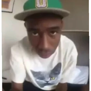 Sticker tyler 1 @sshuulaa - 5