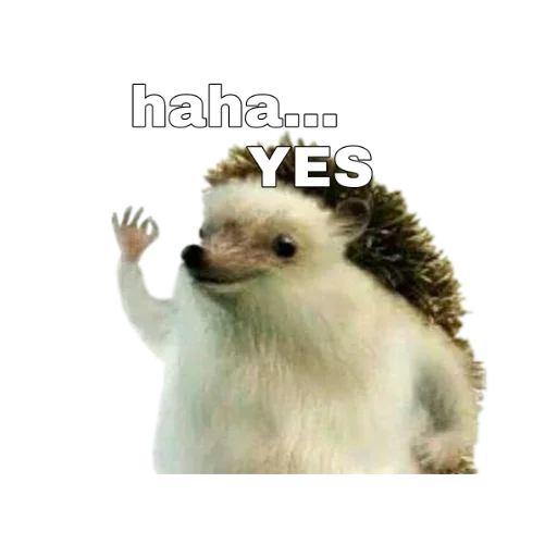 СМС животное млекопитающее