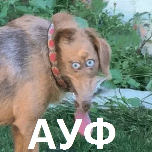 Sticker TypicalAlcogram - 9