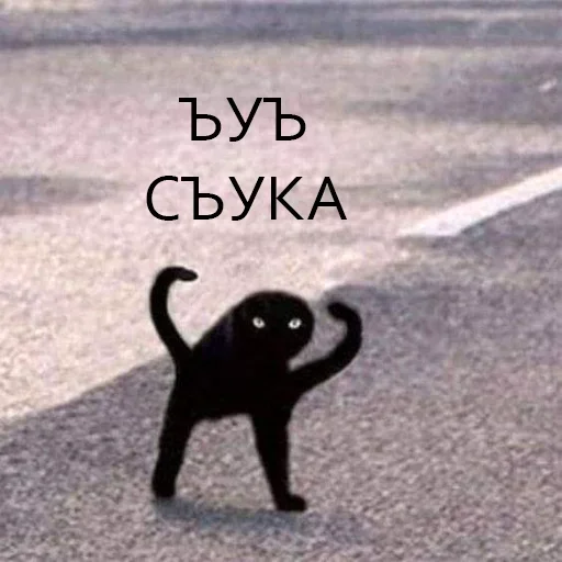 СМС млекопитающее животное