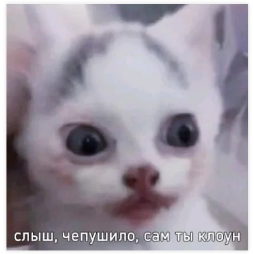 Sticker я люблю сиськи - 1