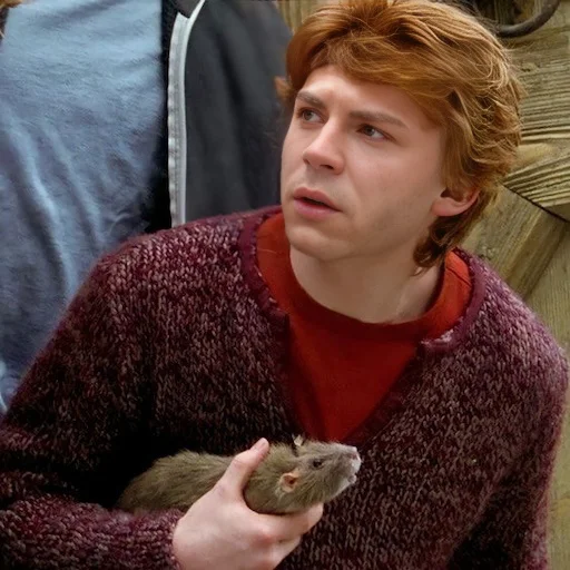 Стикер u2740d33ae2_702549025760_by_jpeg_bot - 1