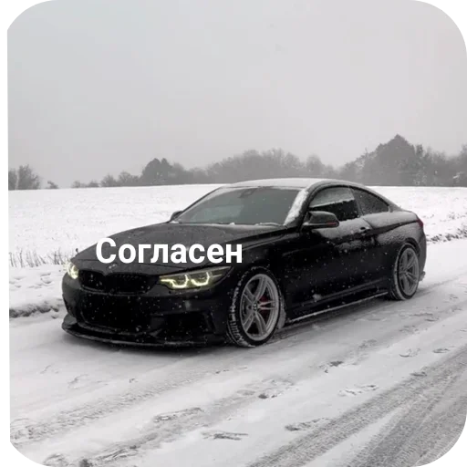 Стикер uBRTsCZ_by_achestickbot - 1