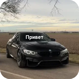Sticker Больше стиков тут: @stikery4 - 2