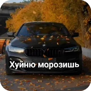 Sticker Больше стиков тут: @stikery4 - 3
