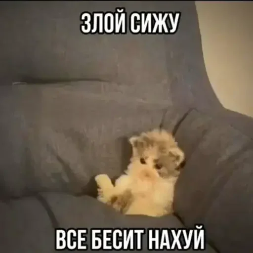 Sticker uQMIPEK_by_achestickbot - 1