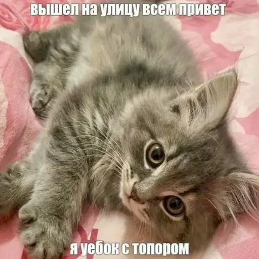 Стикер uQMIPEK_by_achestickbot - 1