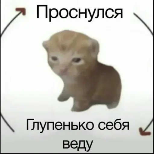 Sticker uQMIPEK_by_achestickbot - 1